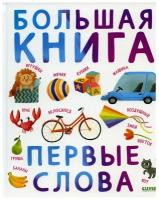 Большая книга. Первые слова. Клевер-Медиа-Групп