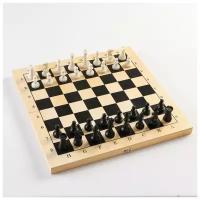 Набор игр Sima-land 3 в 1 шахматы, шашки, нарды, деревянная доска 40х40 см (5618054)