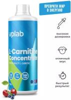 Vplab L-карнитин Concentrate New