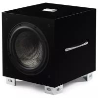 Focal REL Carbon Special