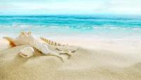 Картина на холсте 60x110 Альянс Лес "Пляж Море берег пляжи" на подрамнике / интерьер/ декор