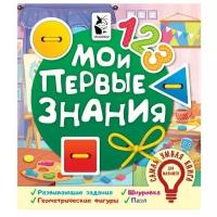 Книжка-игрушка со шнуровкой и пазлом Мои первые знания