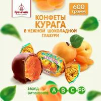 Конфеты из кураги Курага Шоколадная, пакет 600 г