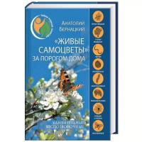 Анатолий Бернацкий - "Живые самоцветы" за порогом дома. Удивительные беспозвоночные