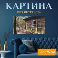 Картина на холсте "Дом, старый, деревянные" на подрамнике 75х40 см. для интерьера