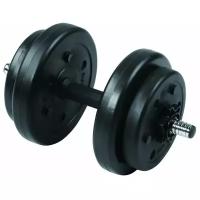 3108CD Гантель сборная Lite Weights 8 кг х 1шт