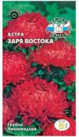 Семена Астра Заря Востока Однолетние 0,2 гр