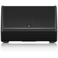 Turbosound TFM152M-AN сценический монитор