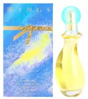 Wings Extraordinary 90ml