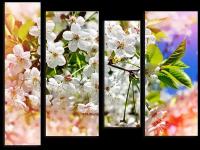 Модульная картина Яблоневый цвет, Весна