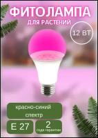 Фитолампа для растений и рассады 12W E27 красно-синий спектр