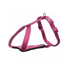 Шлейка Premium Y-harness, M–L: 65–80 см/20 мм, орхидея