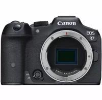 Canon EOS R7 Body //