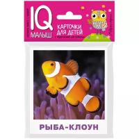 *Игр(Айрис) IQ-Малыш Обитатели морей и океанов Набор карточек (Ходюшина Н.П.)