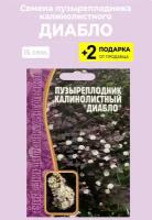 Семена Пузыреплодник калинолистный "Диабло", 15 семян + 2 подарка