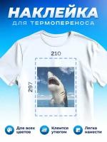 Термонаклейка для одежды наклейка Акула (Shark, Термонаклейка для одежды наклейка с Акулой)_0053