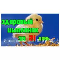 Инкубатор автомат 63 яйца Несушка 220/12 В термометр измеритель влажности