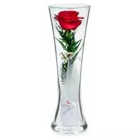 Natural Flowers Роза в стекле CuHR2 (22 см)