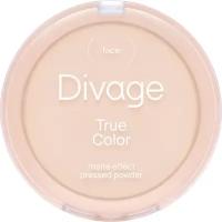 Пудра компактная Divage True Color