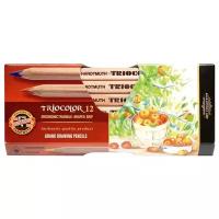 KOH-I-NOOR Карандаши цветные Jumbo Triocolor, 12 цветов (3152N12007KS)