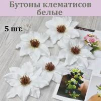 Бутон клематиса (белый, 5 шт.) /Клематисы для декора / Цветы для интерьера и творчества