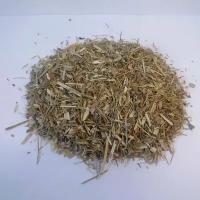 Желтушник серый (трава) 500гр