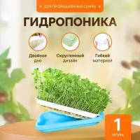 Проращиватель семян / Лоток для проращивания микрозелени Синий / Гидропоника 1 штука