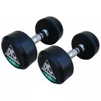 Гантели DFC Набор гантелей неразборных DFC Powergym DB002 2х8 кг