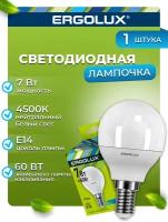 Светодиодная лампа Ergolux LED-G45-7W-E14-4K