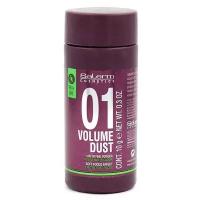 Пудра для волос матирующая стайлинг для объема Salerm Pro Line Volume Dust, 10 мл