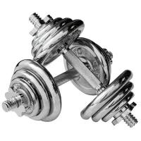 Набор гантелей разборных York Fitness B25616 2x11 кг