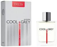 Dilis Parfum Cool and Grey Sport туалетная вода 100 мл для мужчин