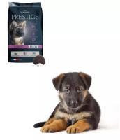 Сухой корм для собак Pro-Nutrition Flatazor Prestige Junior Maxi для щенков крупных пород (15кг)