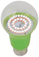 Лампа светодиодная для растений. LED-A60-15W/SPSB/E27/CL PLP30GR Форма A, прозрачная. Спектр для рассады и цветения. Картон. ТМ Uniel