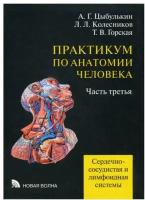 Цыбулькин А. Г., Колесников Л. Л., Горская Т. В. "Практикум по анатомии человека. Учебное пособие для студентов лечебных факультетов медицинских вузов" 3-я часть