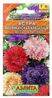 Семена цветов Астра "Американская красавица", смесь окрасок, О, 0,2 г