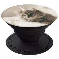 Держатель для телефона PopSockets 101465 (Unicat)