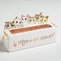 Коробочка для макарун «Meow or never», 18 х 5,5 х 5,5 см