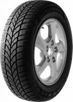 Maxxis 225/60 R16 WP-05 Arctic Trekker 102H