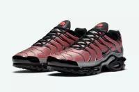 Кроссовки Nike Air Max Plus Euro Tour