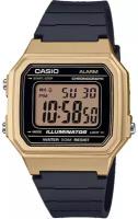 Наручные часы CASIO Collection Men 41386