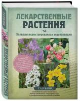 Ильина Т. А. Лекарственные растения. Большая иллюстрированная энциклопедия