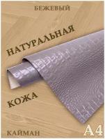 Кожа натуральная/Формат А4/Кожа рептилии Кайман 1,0-1,2мм цв. бежевый крокодил