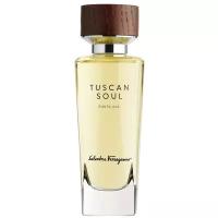 Salvatore Ferragamo туалетная вода Tuscan Soul Punta Ala