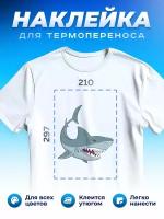 Термонаклейка для одежды наклейка Акула (Shark, Термонаклейка для одежды наклейка с Акулой)_0125