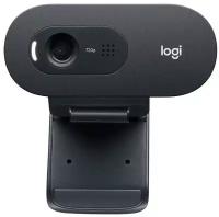 Веб-камера Logitech WebCam C505e (960-001372)