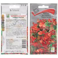 Семена Фасоль, Огненно- красная вьющаяся, 5 шт, цветная упаковка, Поиск
