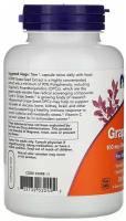 Антиоксиданты NOW Foods Grape Seed Standardized Extract 100 mg (100 капсул)