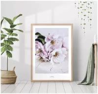 Картина постер без рамки на стену "Цветы вишни" декор для интерьера 40х50 см, в подарочном тубусе