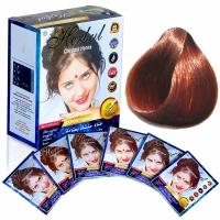 Chestnut Henna/Индийская хна натуральная, каштан, 6 шт.*10 г